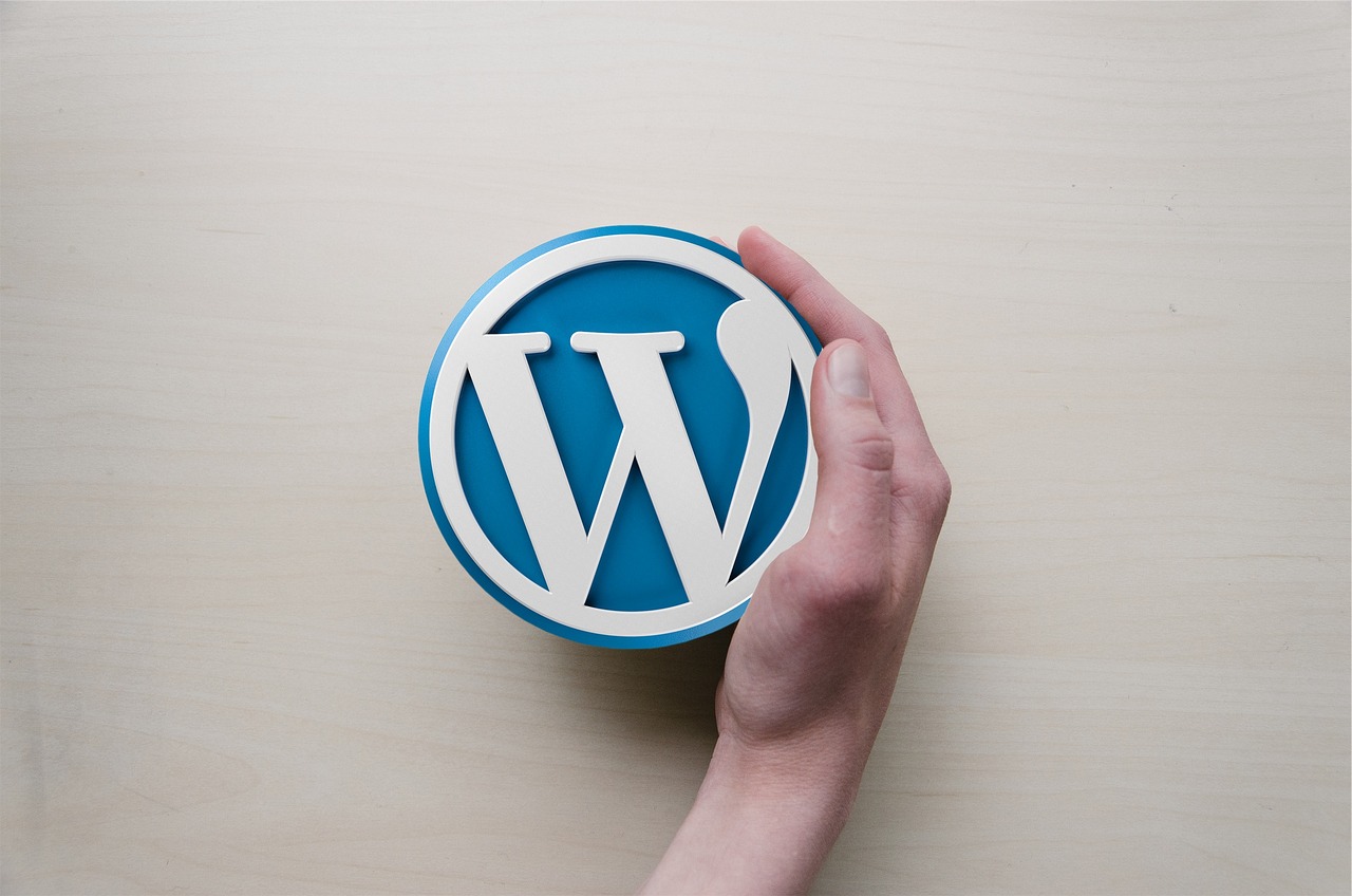 Image of a hand holding wordpress logo